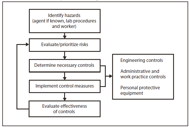 The figure is a flow chart that presents the risk assessment process for a biologic hazard